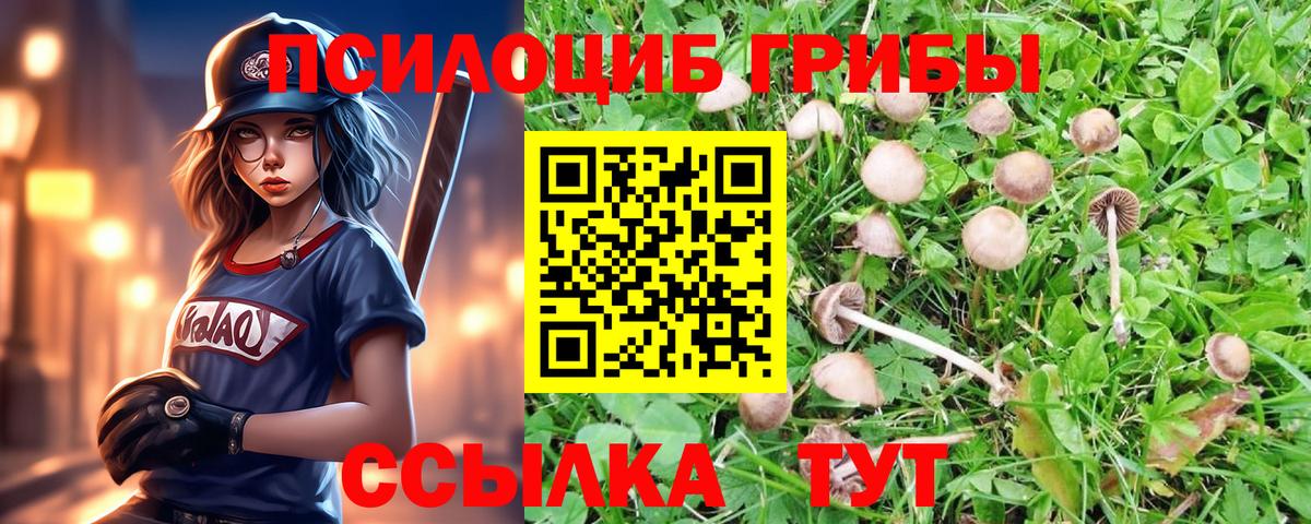 Псилоцибиновые грибы мухоморы Уфа